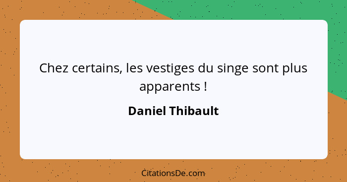 Chez certains, les vestiges du singe sont plus apparents !... - Daniel Thibault