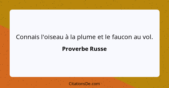 Connais l'oiseau à la plume et le faucon au vol.... - Proverbe Russe