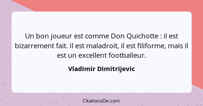 Un bon joueur est comme Don Quichotte : il est bizarrement fait. Il est maladroit, il est filiforme, mais il est un excel... - Vladimir Dimitrijevic