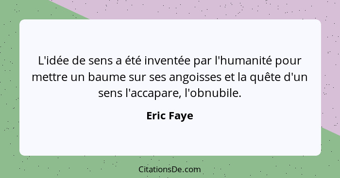 L'idée de sens a été inventée par l'humanité pour mettre un baume sur ses angoisses et la quête d'un sens l'accapare, l'obnubile.... - Eric Faye