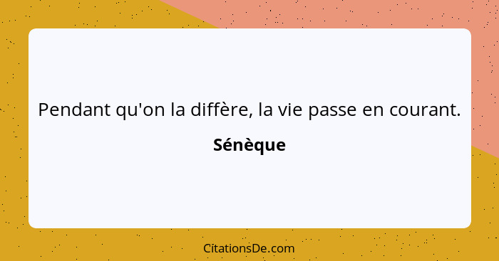 Pendant qu'on la diffère, la vie passe en courant.... - Sénèque