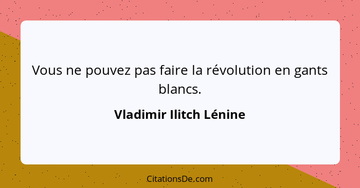 Vous ne pouvez pas faire la révolution en gants blancs.... - Vladimir Ilitch Lénine