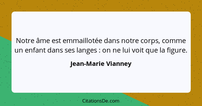 Notre âme est emmaillotée dans notre corps, comme un enfant dans ses langes : on ne lui voit que la figure.... - Jean-Marie Vianney