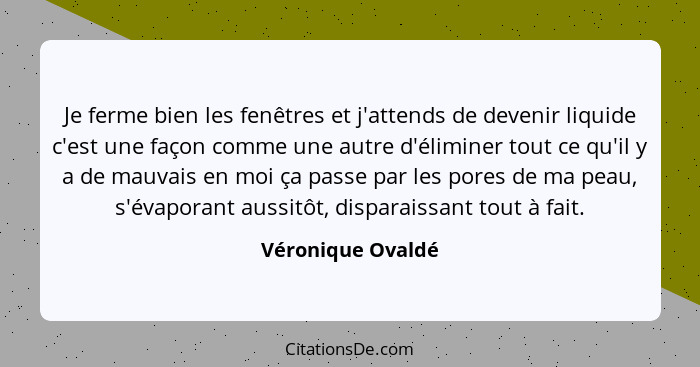 Je ferme bien les fenêtres et j'attends de devenir liquide c'est une façon comme une autre d'éliminer tout ce qu'il y a de mauvais... - Véronique Ovaldé