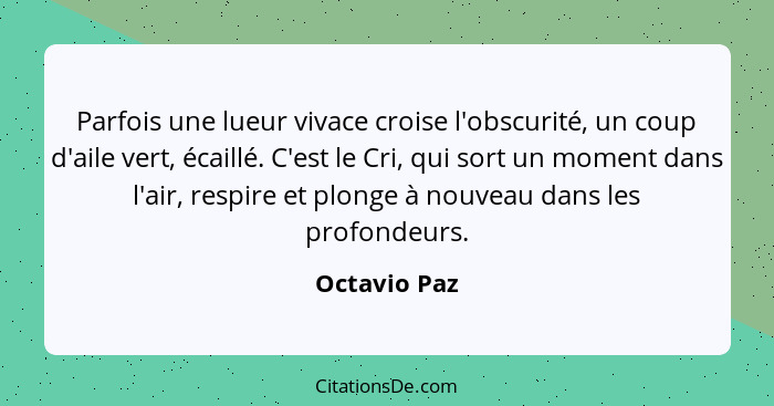 Parfois une lueur vivace croise l'obscurité, un coup d'aile vert, écaillé. C'est le Cri, qui sort un moment dans l'air, respire et plong... - Octavio Paz