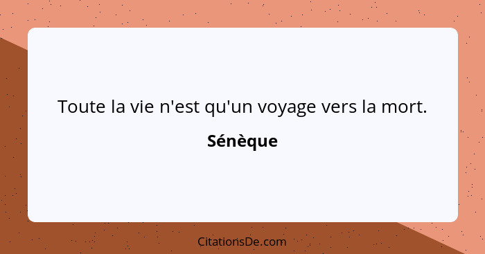 Toute la vie n'est qu'un voyage vers la mort.... - Sénèque