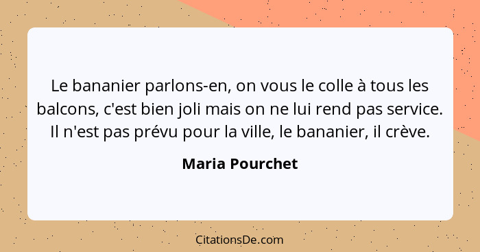 Le bananier parlons-en, on vous le colle à tous les balcons, c'est bien joli mais on ne lui rend pas service. Il n'est pas prévu pour... - Maria Pourchet