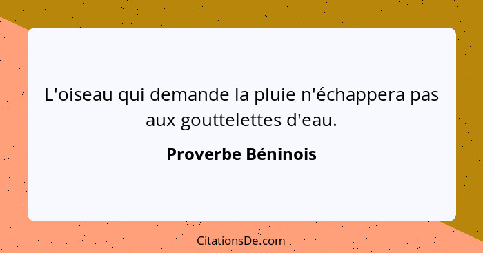 L'oiseau qui demande la pluie n'échappera pas aux gouttelettes d'eau.... - Proverbe Béninois