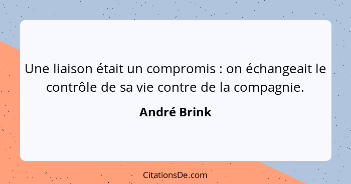 Une liaison était un compromis : on échangeait le contrôle de sa vie contre de la compagnie.... - André Brink