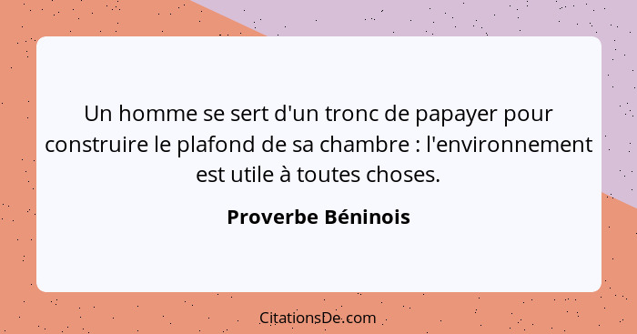 Un homme se sert d'un tronc de papayer pour construire le plafond de sa chambre : l'environnement est utile à toutes choses.... - Proverbe Béninois