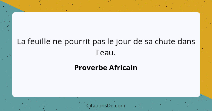 La feuille ne pourrit pas le jour de sa chute dans l'eau.... - Proverbe Africain