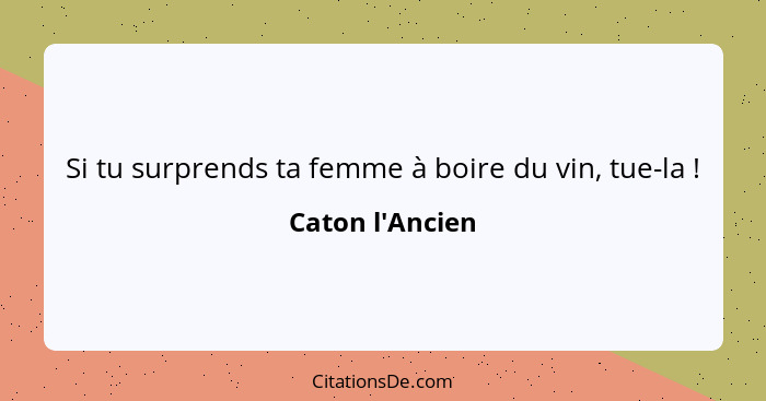 Si tu surprends ta femme à boire du vin, tue-la !... - Caton l'Ancien