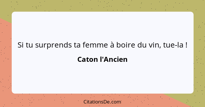 Si tu surprends ta femme à boire du vin, tue-la !... - Caton l'Ancien