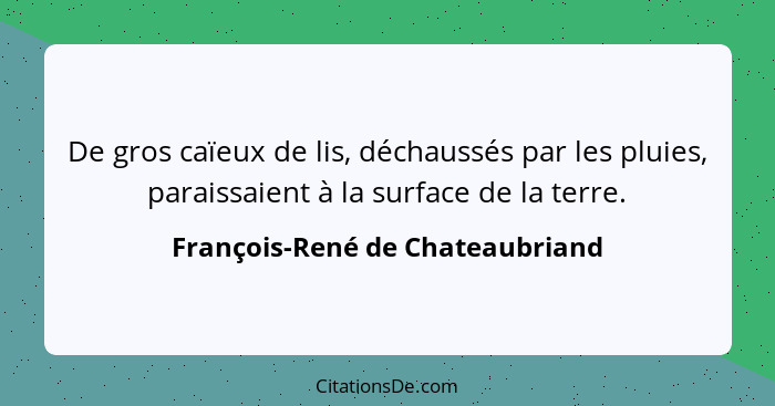 De gros caïeux de lis, déchaussés par les pluies, paraissaient à la surface de la terre.... - François-René de Chateaubriand