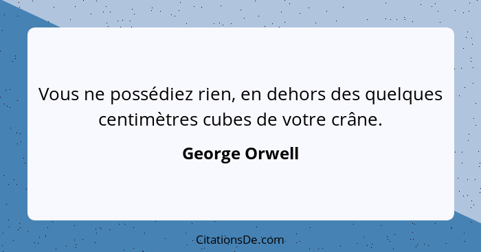 Vous ne possédiez rien, en dehors des quelques centimètres cubes de votre crâne.... - George Orwell