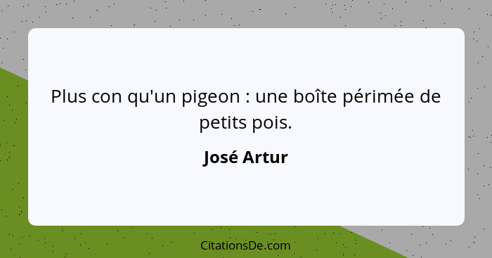 Plus con qu'un pigeon : une boîte périmée de petits pois.... - José Artur