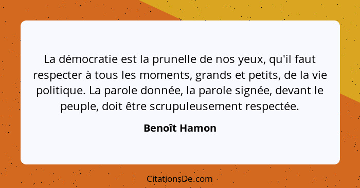 La démocratie est la prunelle de nos yeux, qu'il faut respecter à tous les moments, grands et petits, de la vie politique. La parole do... - Benoît Hamon