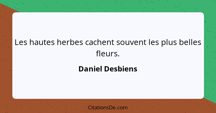 Les hautes herbes cachent souvent les plus belles fleurs.... - Daniel Desbiens