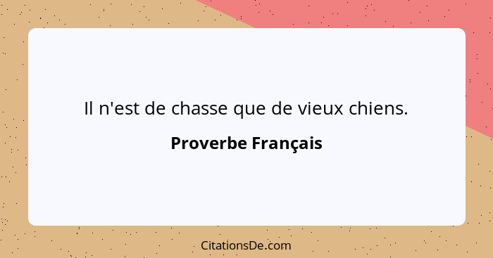 Il n'est de chasse que de vieux chiens.... - Proverbe Français