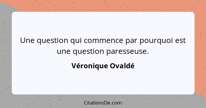 Une question qui commence par pourquoi est une question paresseuse.... - Véronique Ovaldé