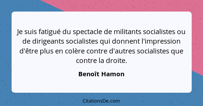 Je suis fatigué du spectacle de militants socialistes ou de dirigeants socialistes qui donnent l'impression d'être plus en colère contr... - Benoît Hamon