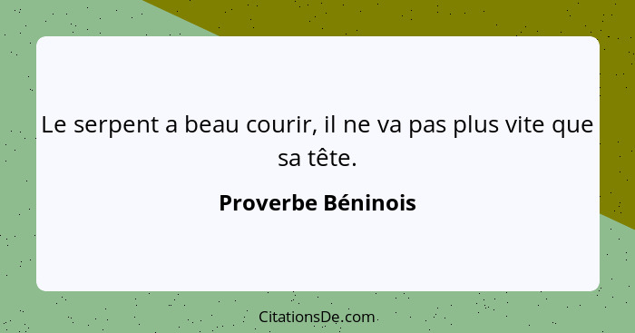 Le serpent a beau courir, il ne va pas plus vite que sa tête.... - Proverbe Béninois