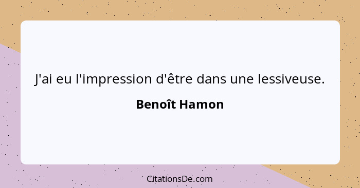 J'ai eu l'impression d'être dans une lessiveuse.... - Benoît Hamon