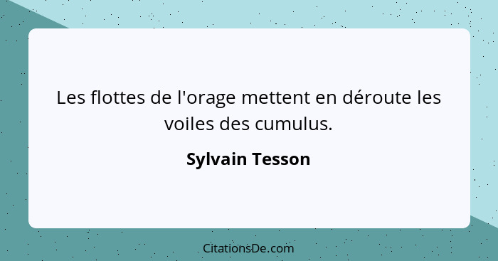 Les flottes de l'orage mettent en déroute les voiles des cumulus.... - Sylvain Tesson