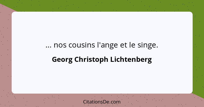 ... nos cousins l'ange et le singe.... - Georg Christoph Lichtenberg