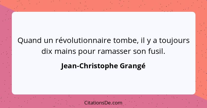 Quand un révolutionnaire tombe, il y a toujours dix mains pour ramasser son fusil.... - Jean-Christophe Grangé