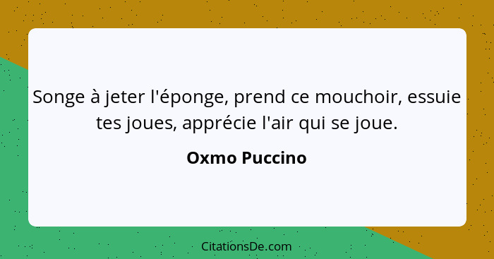 Songe à jeter l'éponge, prend ce mouchoir, essuie tes joues, apprécie l'air qui se joue.... - Oxmo Puccino