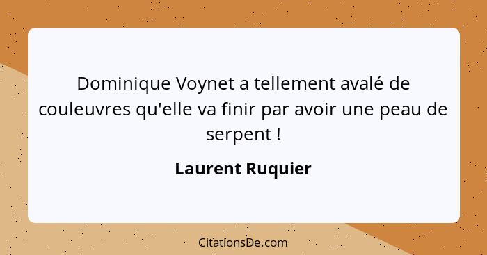 Dominique Voynet a tellement avalé de couleuvres qu'elle va finir par avoir une peau de serpent !... - Laurent Ruquier
