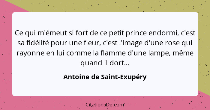 Ce qui m'émeut si fort de ce petit prince endormi, c'est sa fidélité pour une fleur, c'est l'image d'une rose qui rayonne e... - Antoine de Saint-Exupéry