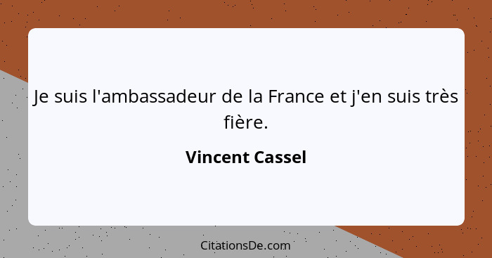 Je suis l'ambassadeur de la France et j'en suis très fière.... - Vincent Cassel