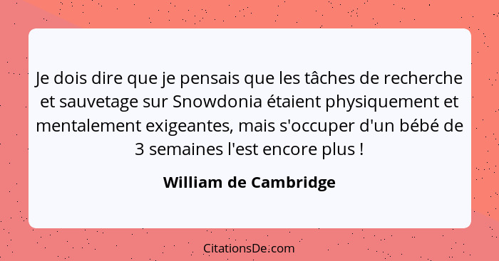 Je dois dire que je pensais que les tâches de recherche et sauvetage sur Snowdonia étaient physiquement et mentalement exigeant... - William de Cambridge