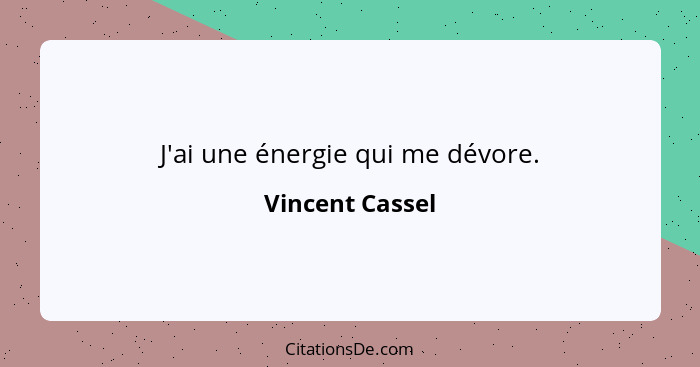 J'ai une énergie qui me dévore.... - Vincent Cassel