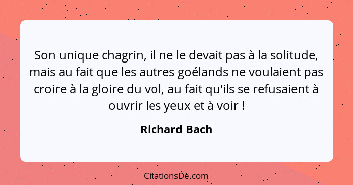 Son unique chagrin, il ne le devait pas à la solitude, mais au fait que les autres goélands ne voulaient pas croire à la gloire du vol,... - Richard Bach