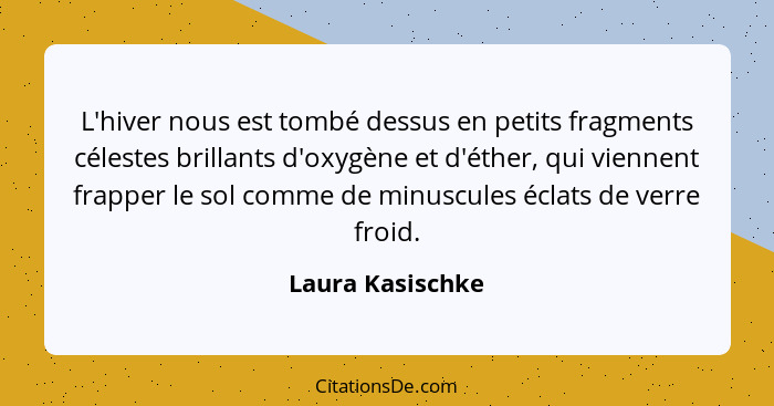 L'hiver nous est tombé dessus en petits fragments célestes brillants d'oxygène et d'éther, qui viennent frapper le sol comme de minu... - Laura Kasischke