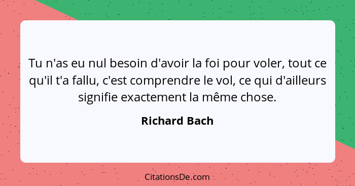 Tu n'as eu nul besoin d'avoir la foi pour voler, tout ce qu'il t'a fallu, c'est comprendre le vol, ce qui d'ailleurs signifie exactemen... - Richard Bach