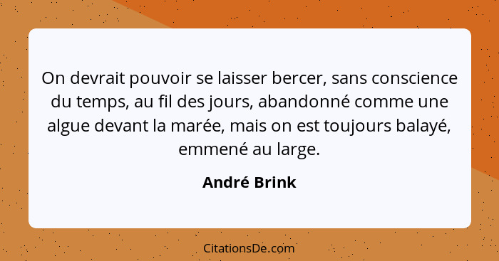 On devrait pouvoir se laisser bercer, sans conscience du temps, au fil des jours, abandonné comme une algue devant la marée, mais on est... - André Brink