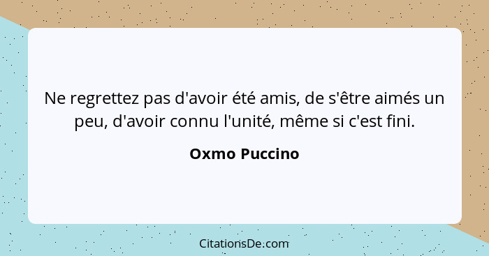 Ne regrettez pas d'avoir été amis, de s'être aimés un peu, d'avoir connu l'unité, même si c'est fini.... - Oxmo Puccino