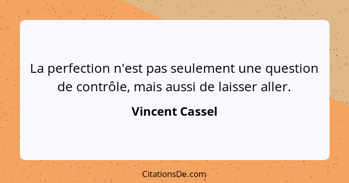 La perfection n'est pas seulement une question de contrôle, mais aussi de laisser aller.... - Vincent Cassel