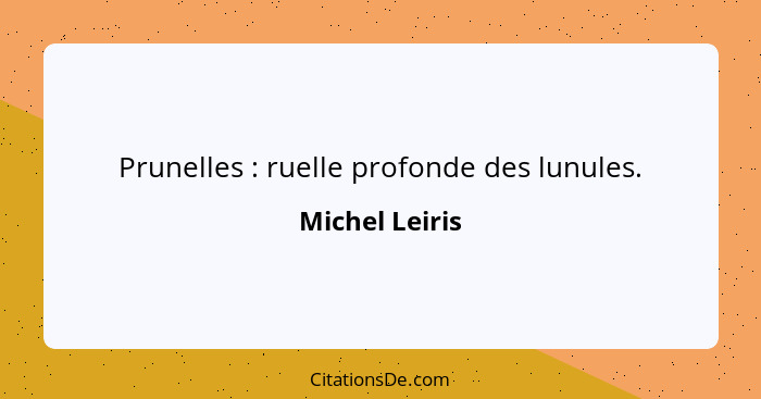 Prunelles : ruelle profonde des lunules.... - Michel Leiris