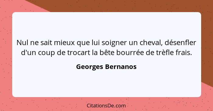 Nul ne sait mieux que lui soigner un cheval, désenfler d'un coup de trocart la bête bourrée de trèfle frais.... - Georges Bernanos