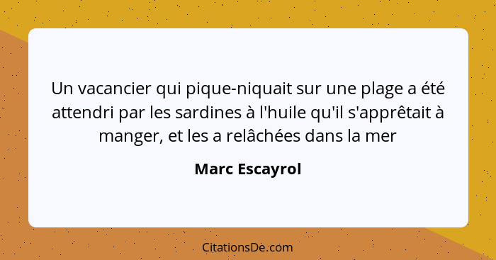 Un vacancier qui pique-niquait sur une plage a été attendri par les sardines à l'huile qu'il s'apprêtait à manger, et les a relâchées... - Marc Escayrol