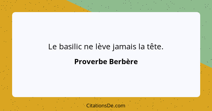 Le basilic ne lève jamais la tête.... - Proverbe Berbère