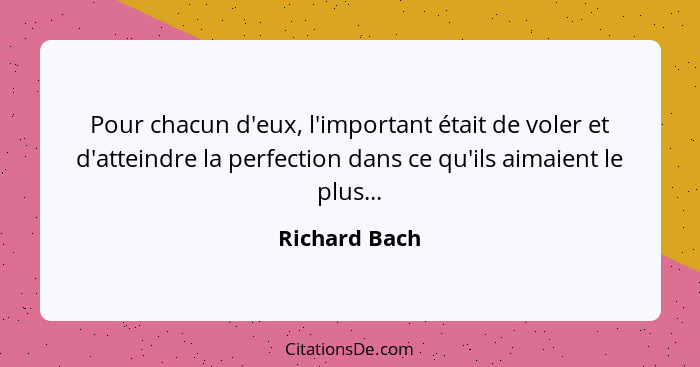 Pour chacun d'eux, l'important était de voler et d'atteindre la perfection dans ce qu'ils aimaient le plus...... - Richard Bach