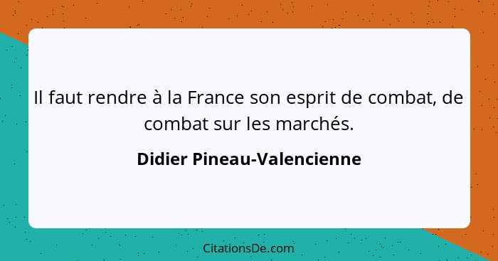 Il faut rendre à la France son esprit de combat, de combat sur les marchés.... - Didier Pineau-Valencienne