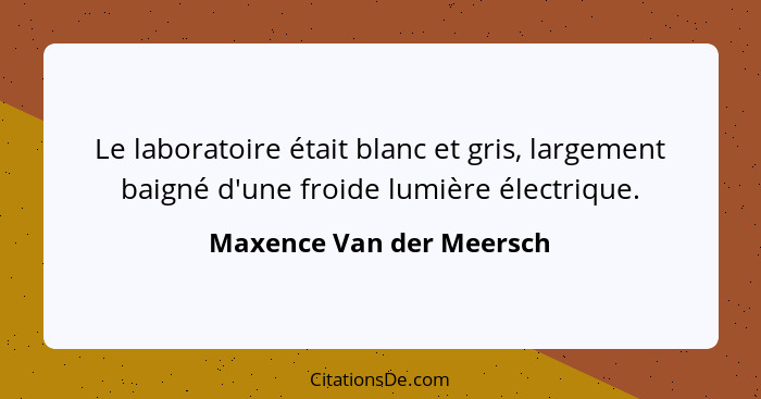 Le laboratoire était blanc et gris, largement baigné d'une froide lumière électrique.... - Maxence Van der Meersch