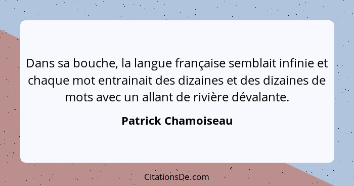 Dans sa bouche, la langue française semblait infinie et chaque mot entrainait des dizaines et des dizaines de mots avec un allant... - Patrick Chamoiseau